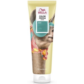 Wella Mascarillas & exfoliantes COLOR FRESH MASCARILLA FUN MINT 150ML