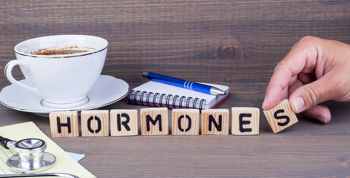 Cómo funcionan las hormonas y cómo equilibrarlas de forma natural