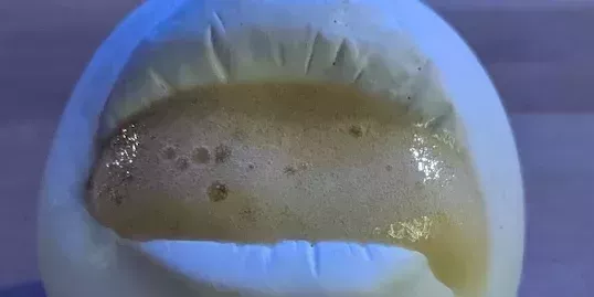 El restaurante con estrella Michelin que se hizo viral por servir espuma en un molde de la boca del chef convierte su polémico plato en un NFT