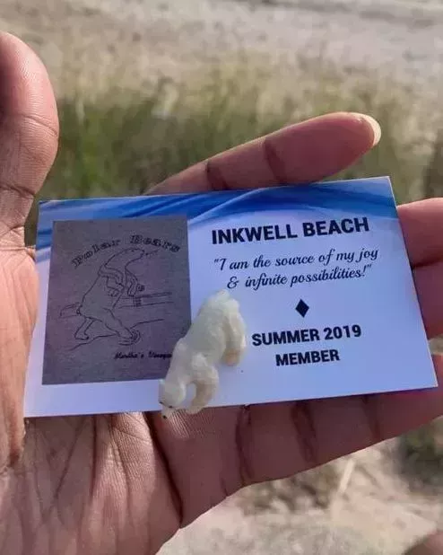 Haciendo olas: Cómo el Club de Natación Osos Polares anima a sus miembros