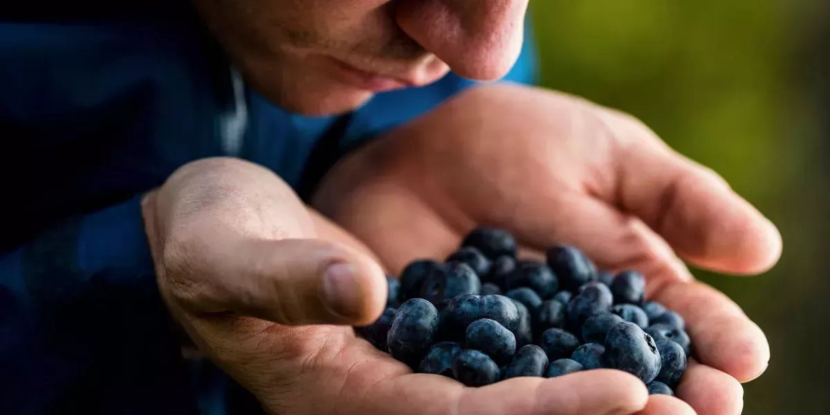 Por qué los antioxidantes son tan importantes para su salud y las mejores fuentes para su dieta