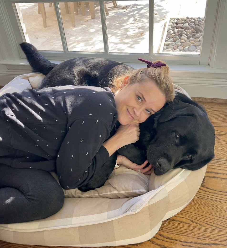 Reese Witherspoon, de 45 años, acaba de compartir la foto más bonita sin maquillaje con su perro en Instagram, y está tan radiante