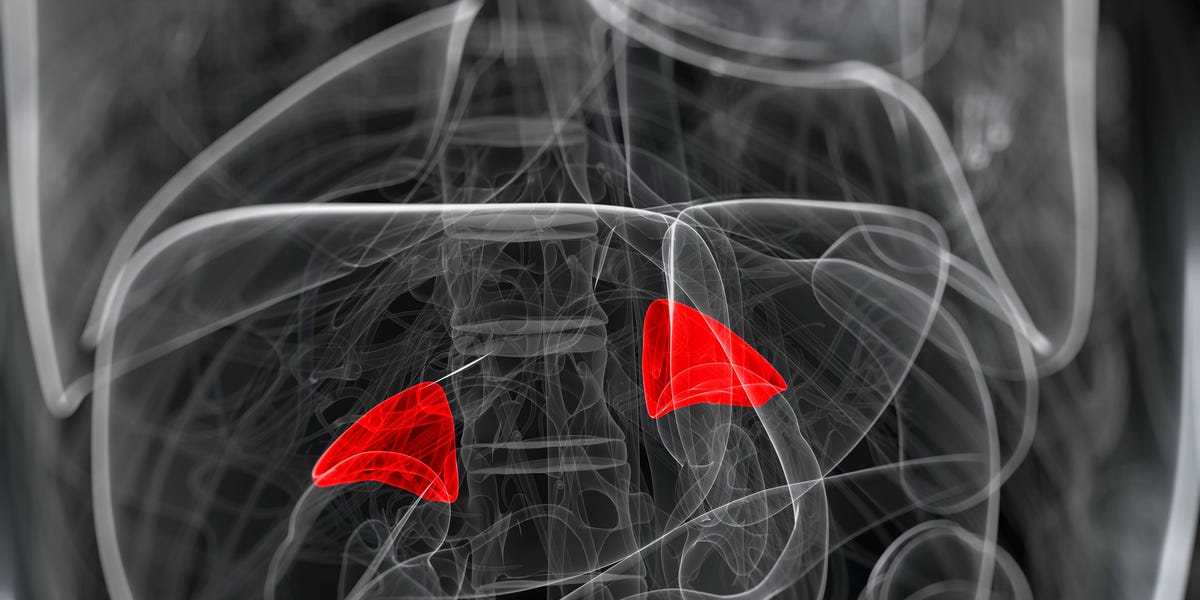 1 de cada 10 personas tiene un tumor asintomático en sus glándulas que puede aumentar los riesgos de diabetes e hipertensión arterial