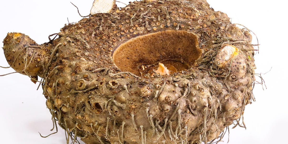 11 suplementos populares para perder peso y la investigación científica que los respalda