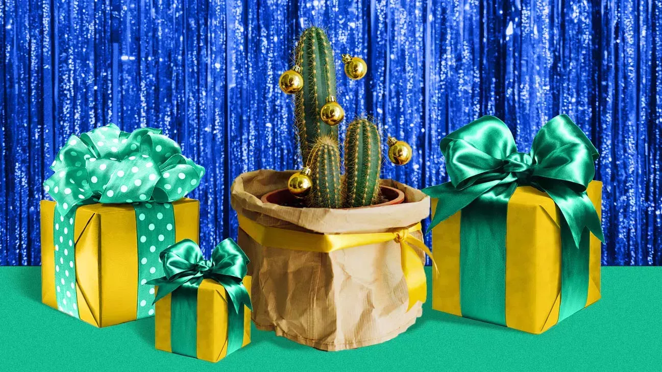 12 regalos únicos para el pulgar verde de su vida 