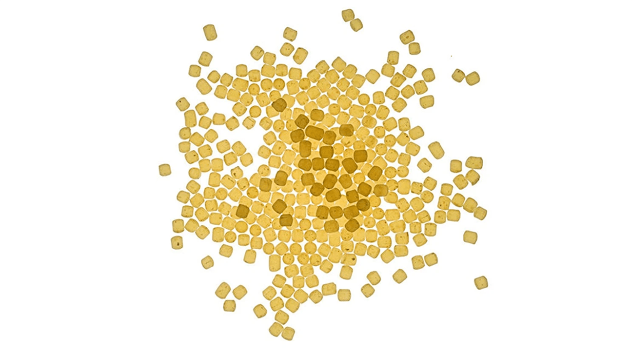 Tipos de pasta: Una guía completa, fotos y salsas perfectas