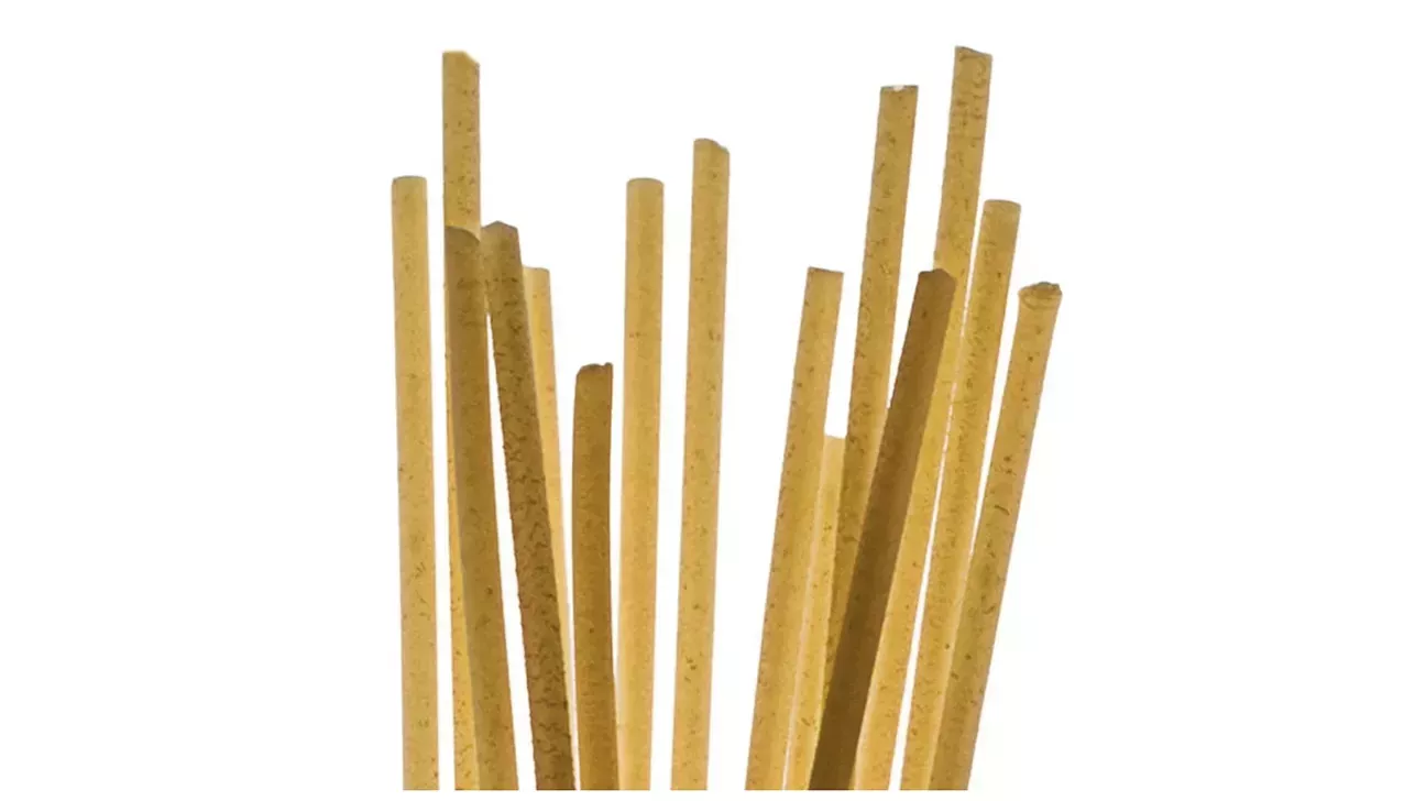 Tipos de pasta: Una guía completa, fotos y salsas perfectas