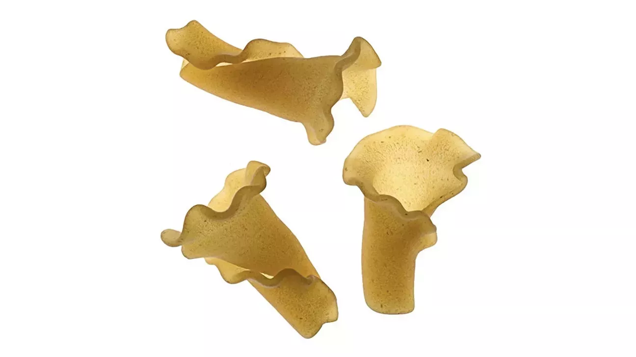 Tipos de pasta: Una guía completa, fotos y salsas perfectas