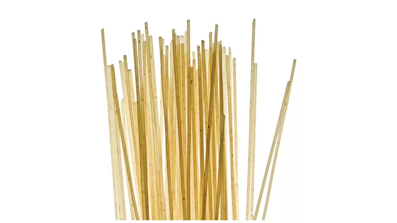 Tipos de pasta: Una guía completa, fotos y salsas perfectas