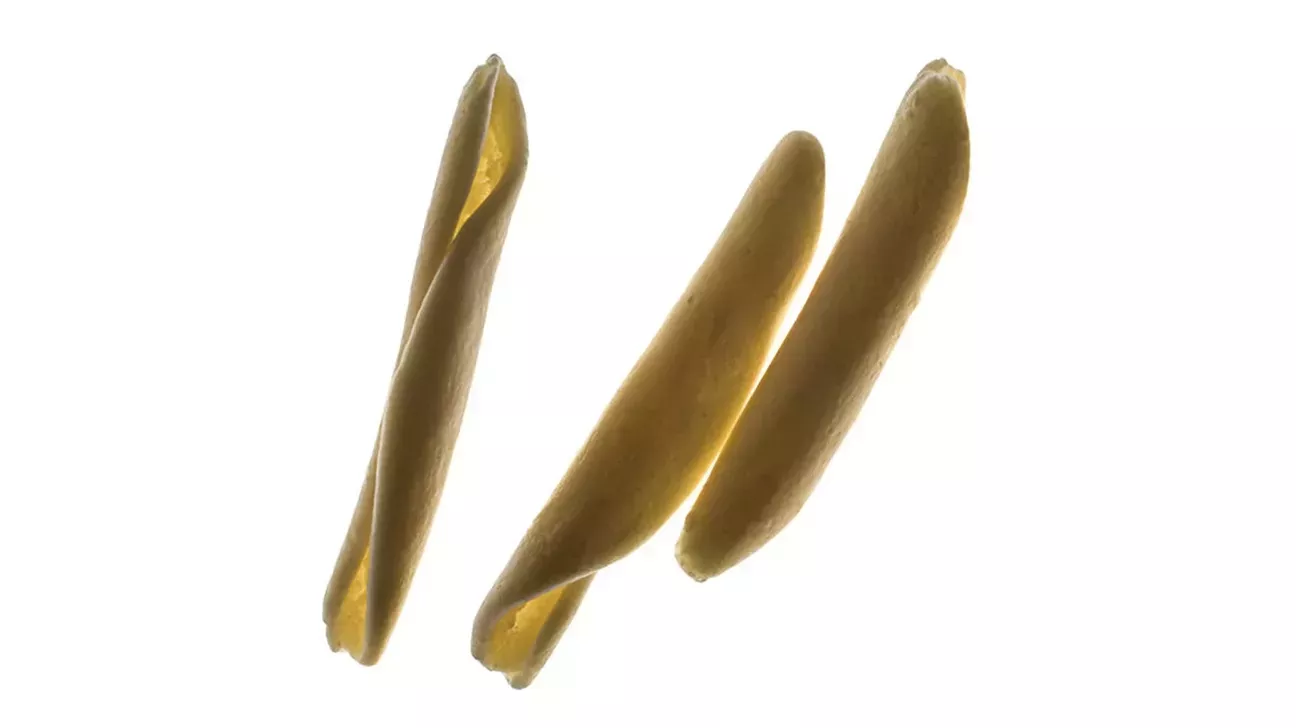 Tipos de pasta: Una guía completa, fotos y salsas perfectas