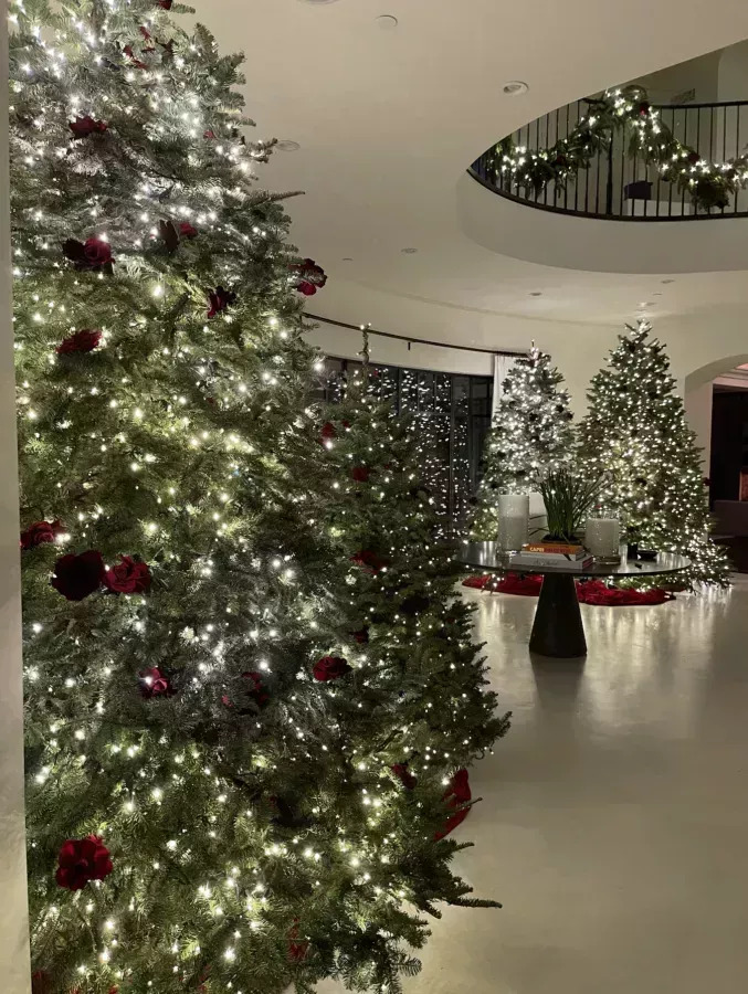 Screen Shot 2021-12-16 at 9.45.43 AM