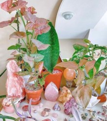 Cómo conseguir el conjunto de cristales más bonito