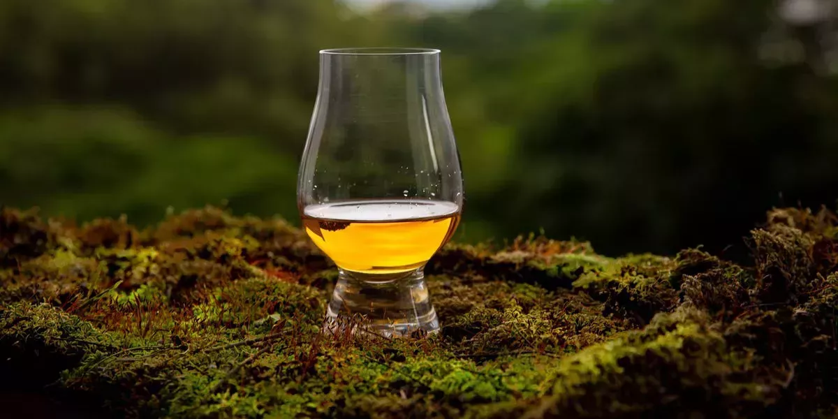 ¿Cuál es la diferencia entre el escocés y el whisky? En qué se diferencia el escocés de otros tipos de whisky