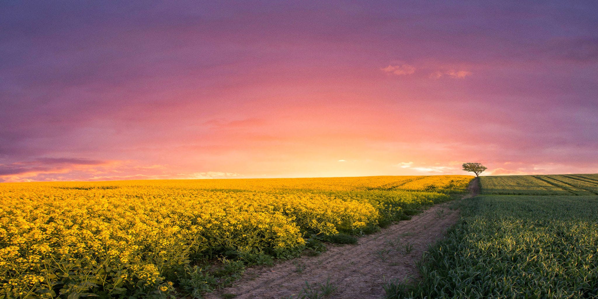 ¿Necesitas un empujón? Estas geniales citas inspiradoras hacen maravillas