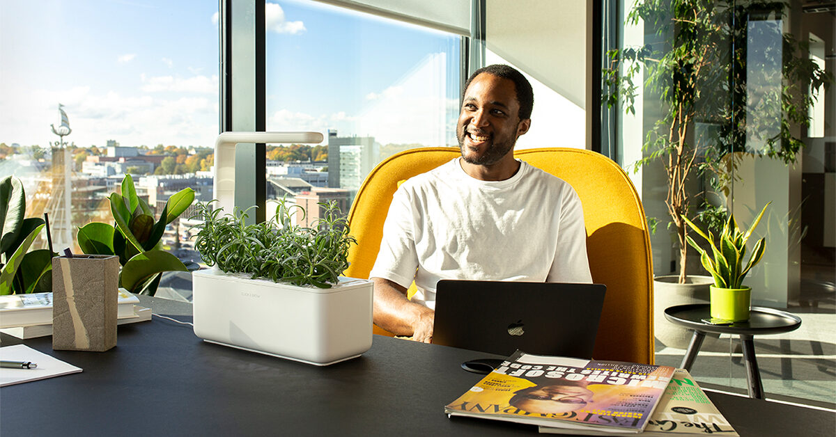 El gran interior: Un kit de jardín interior puede ayudar a que su pulgar verde prospere en cualquier lugar