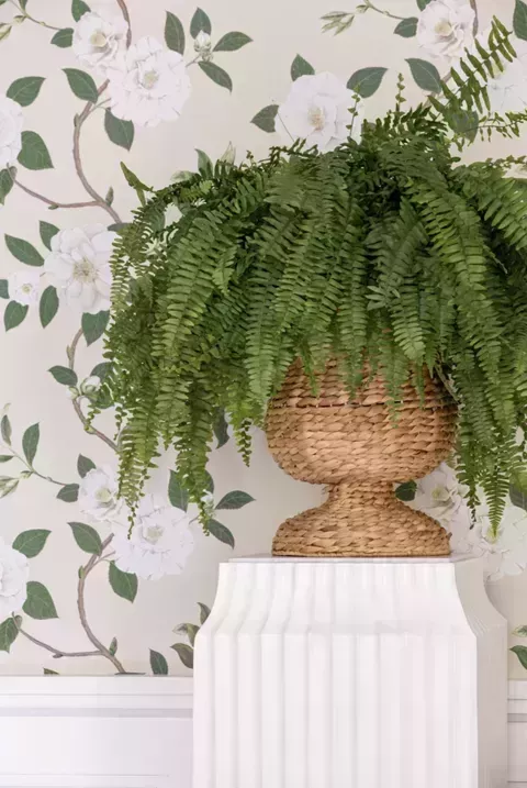 Esta casa tradicional de Greenwich combina elementos lúdicos y formales para un aspecto intemporal