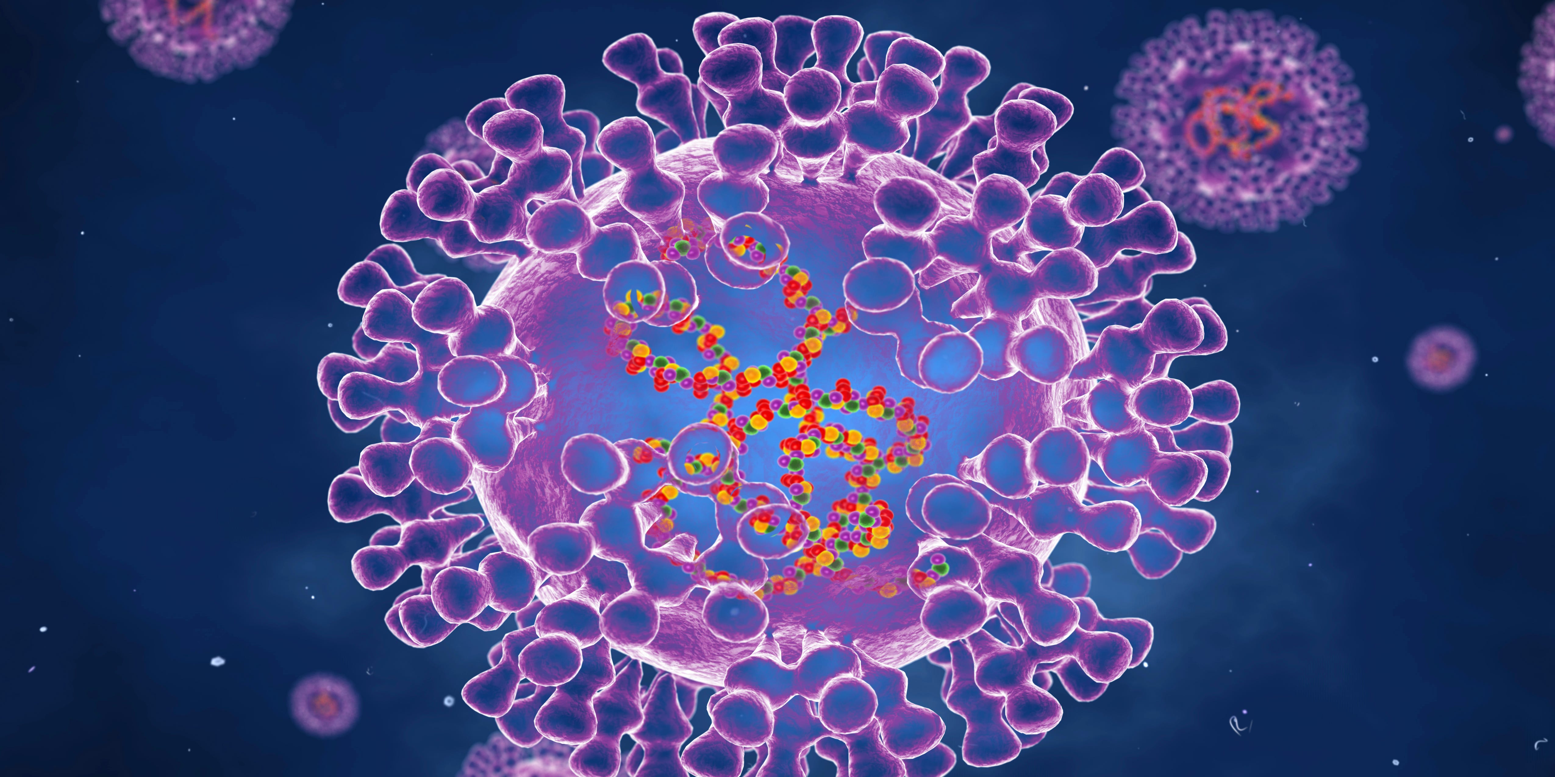 Las autoridades sanitarias de Nueva York confirman el primer caso de viruela del mono