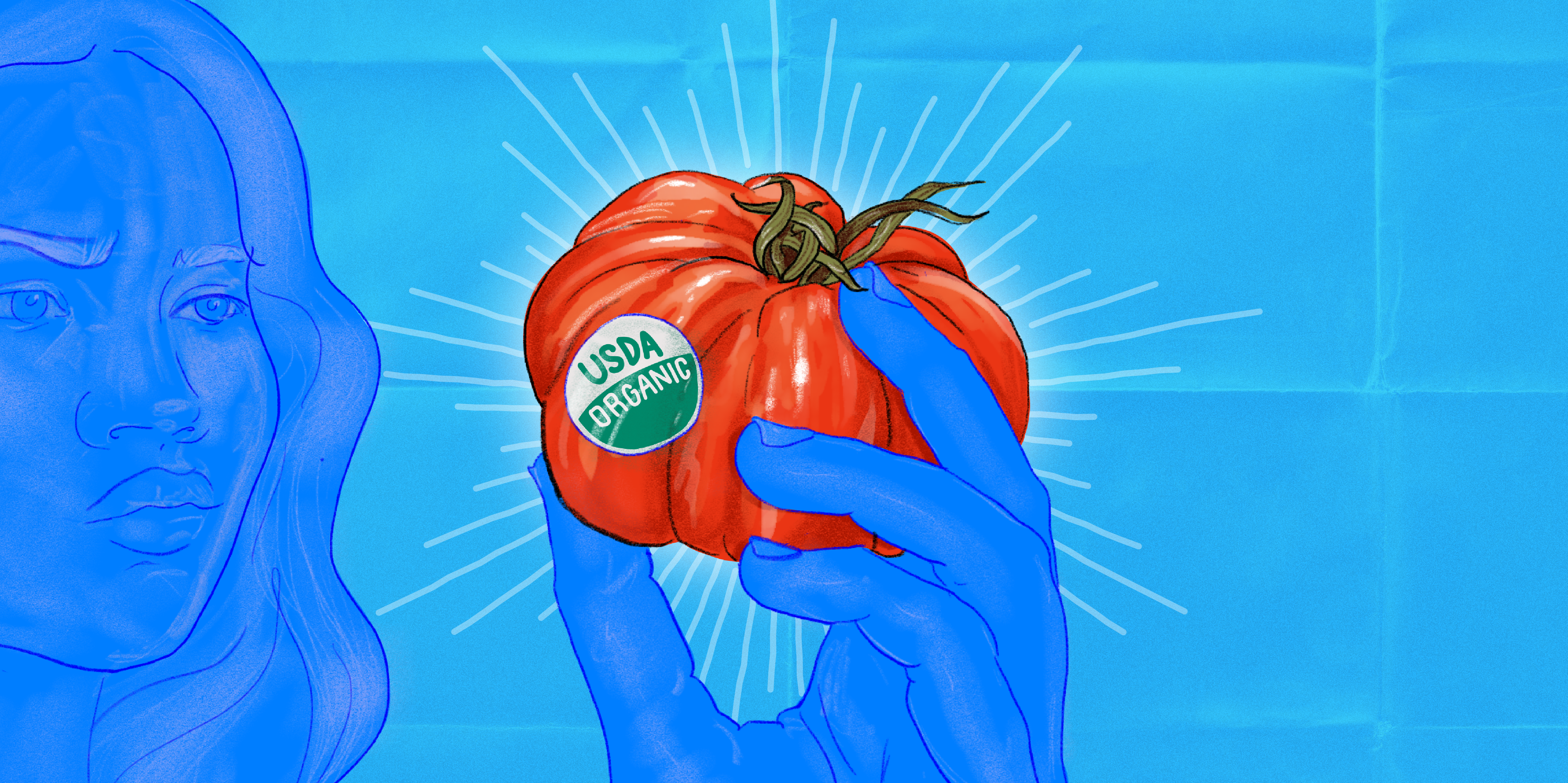 ¿Qué significa realmente ecológico?