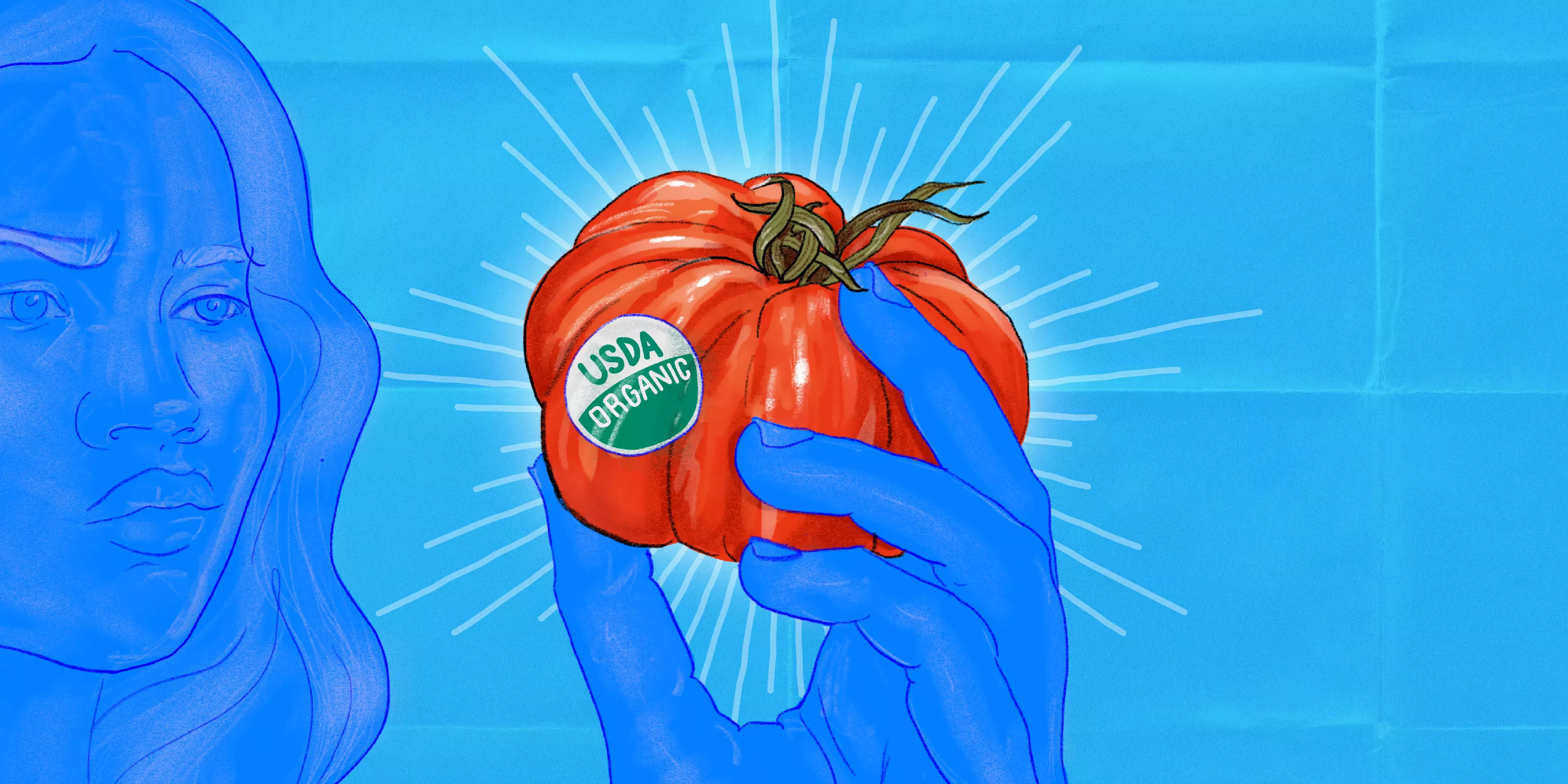 ¿Qué significa realmente 