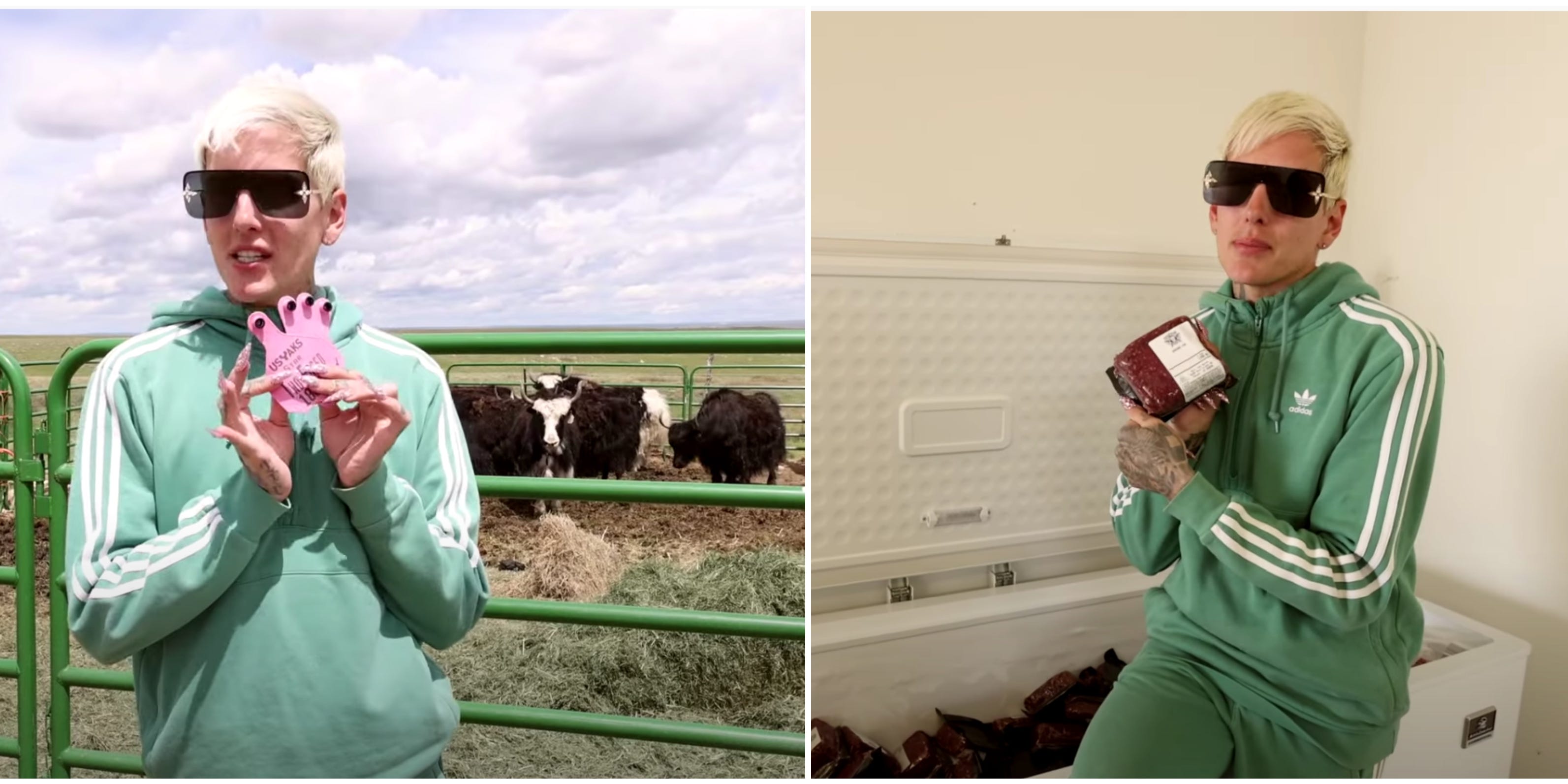 Jeffree Star dijo que el sacrificio de sus yaks es la "manera de Wyoming" y mostró un grupo de animales programados para ser sacrificados al día siguiente