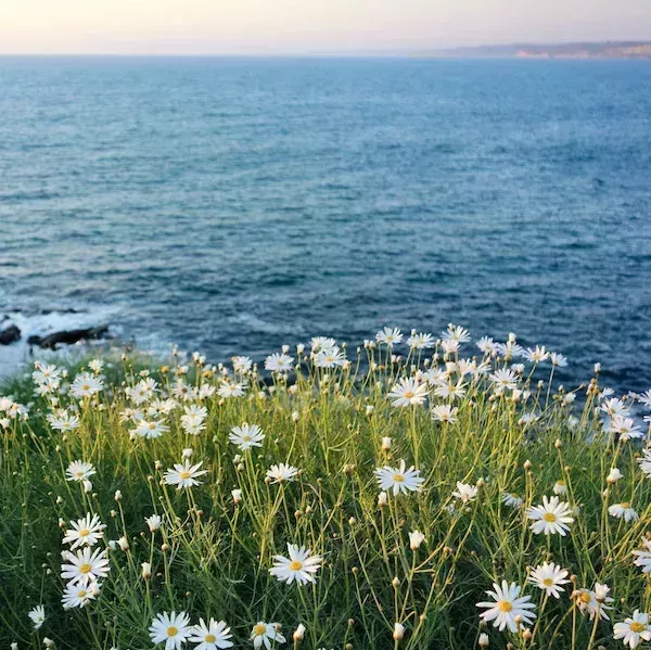 4 ideas para el diario de verano para hacer fluir tus pensamientos