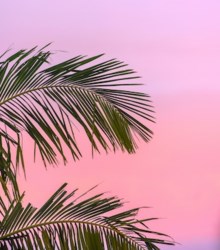 4 ideas para hacer fluir tus pensamientos en un diario de verano