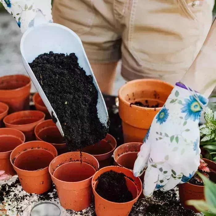 Cómo hacer de la jardinería su nueva afición favorita