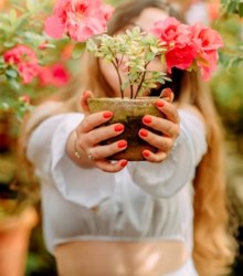 Cómo hacer de la jardinería su nueva afición favorita