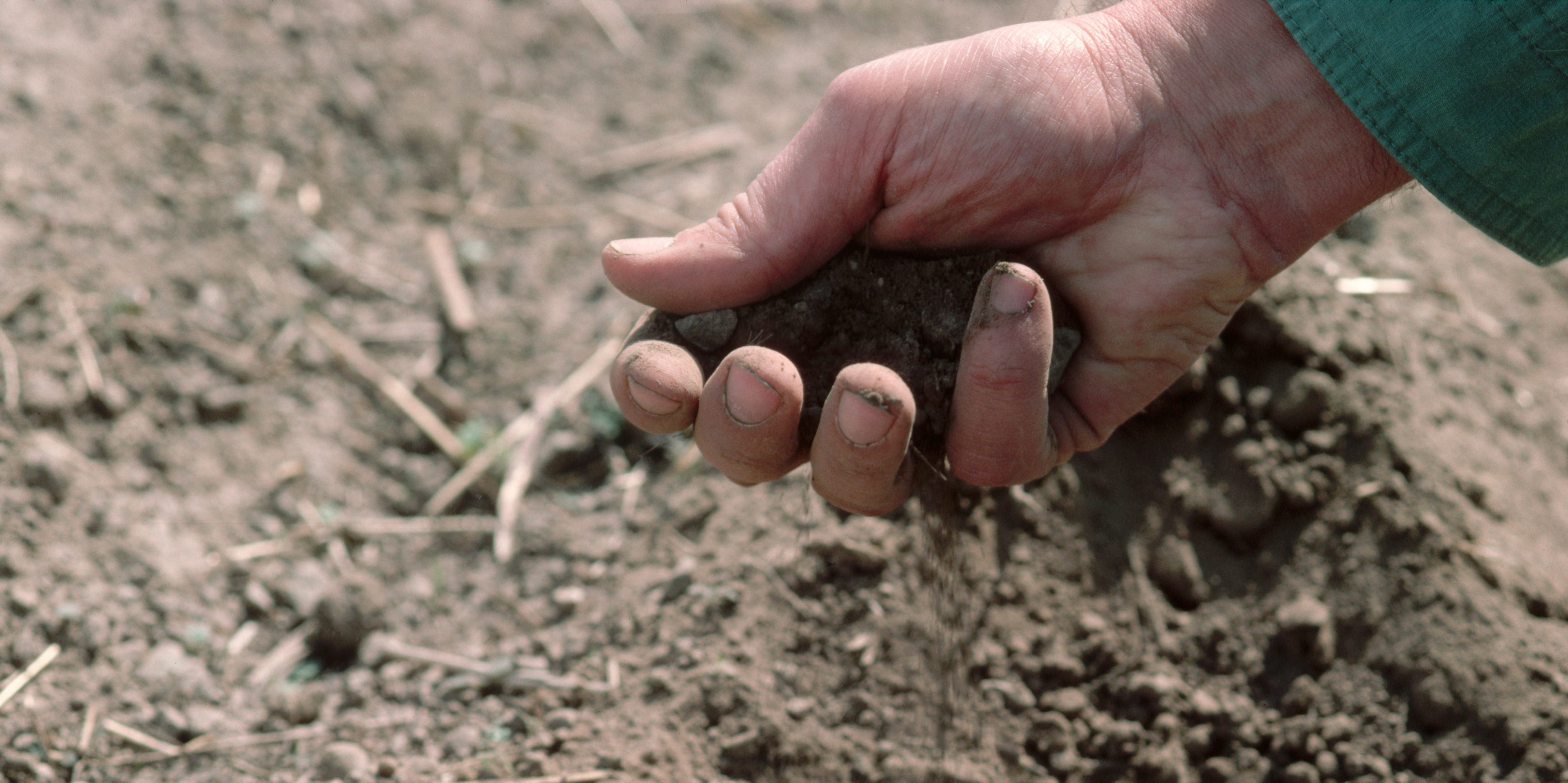 Cómo se propaga y se trata la enfermedad de melioidosis