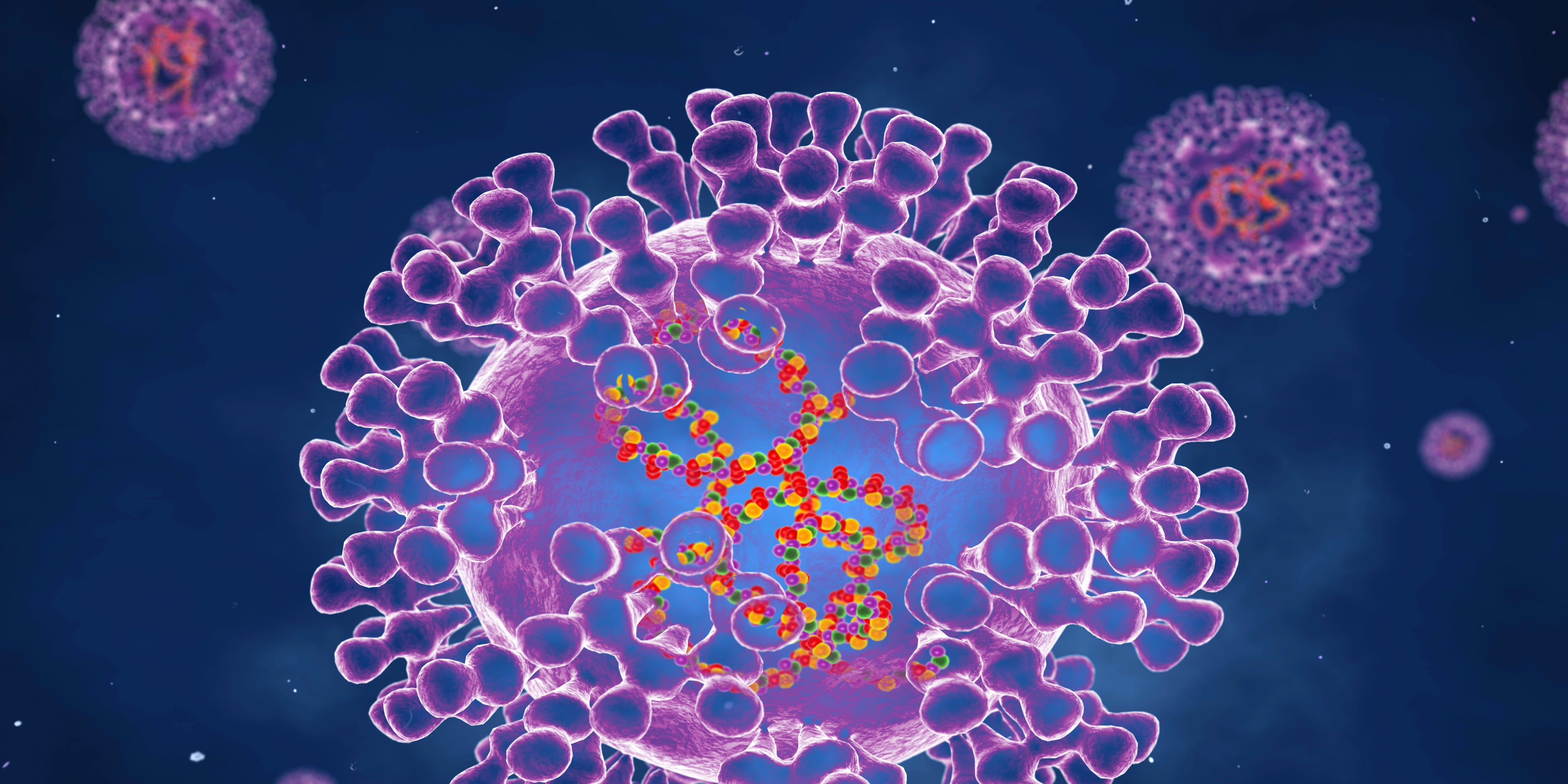 Cómo se transmite la viruela del mono de persona a persona, y cómo prevenir la infección