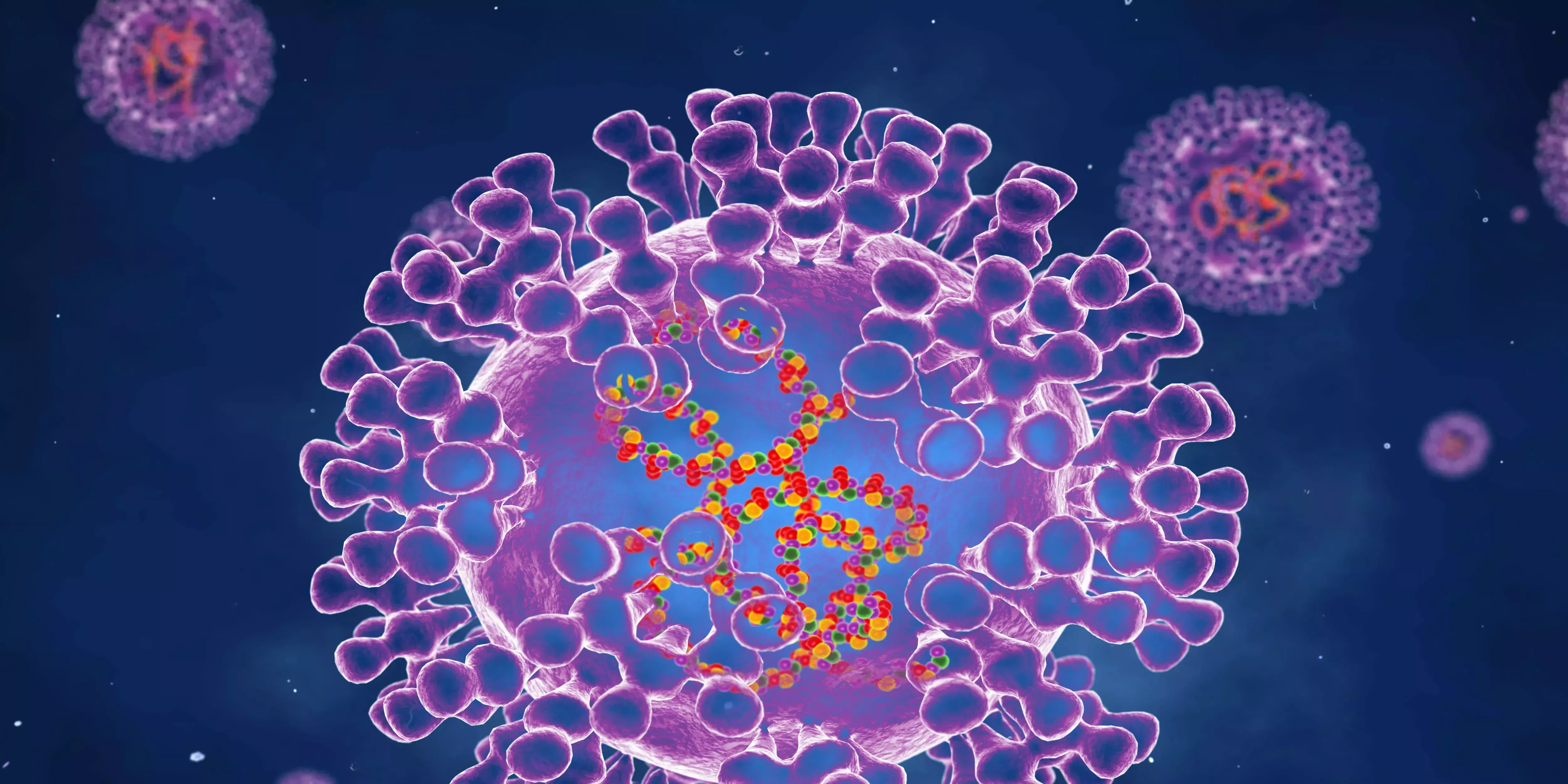 Cómo se transmite la viruela del mono de persona a persona, y cómo prevenir la infección