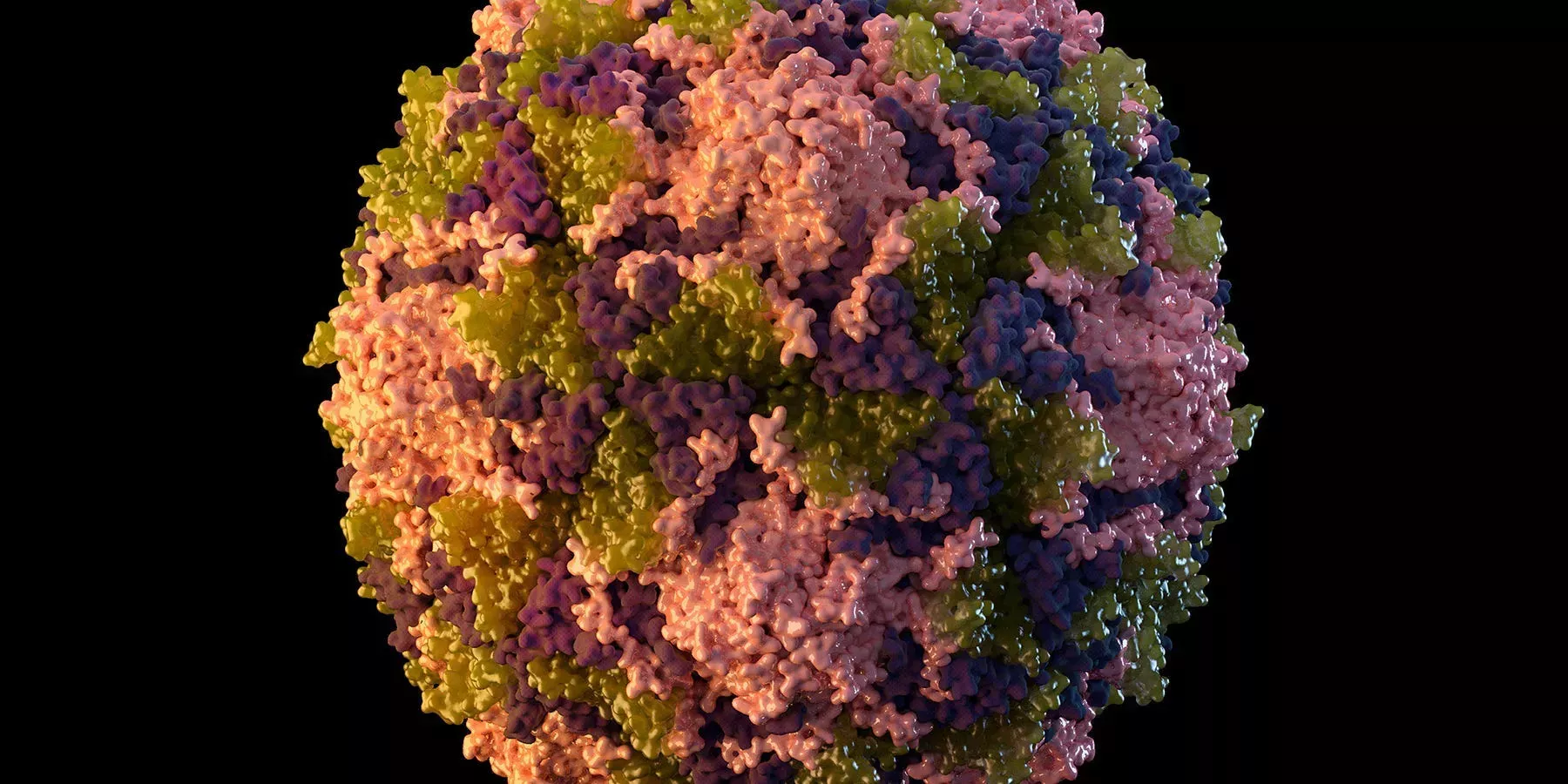 Cientos de personas podrían haber contraído la polio tras detectarse el virus en aguas residuales, advierte el Departamento de Salud de Nueva York