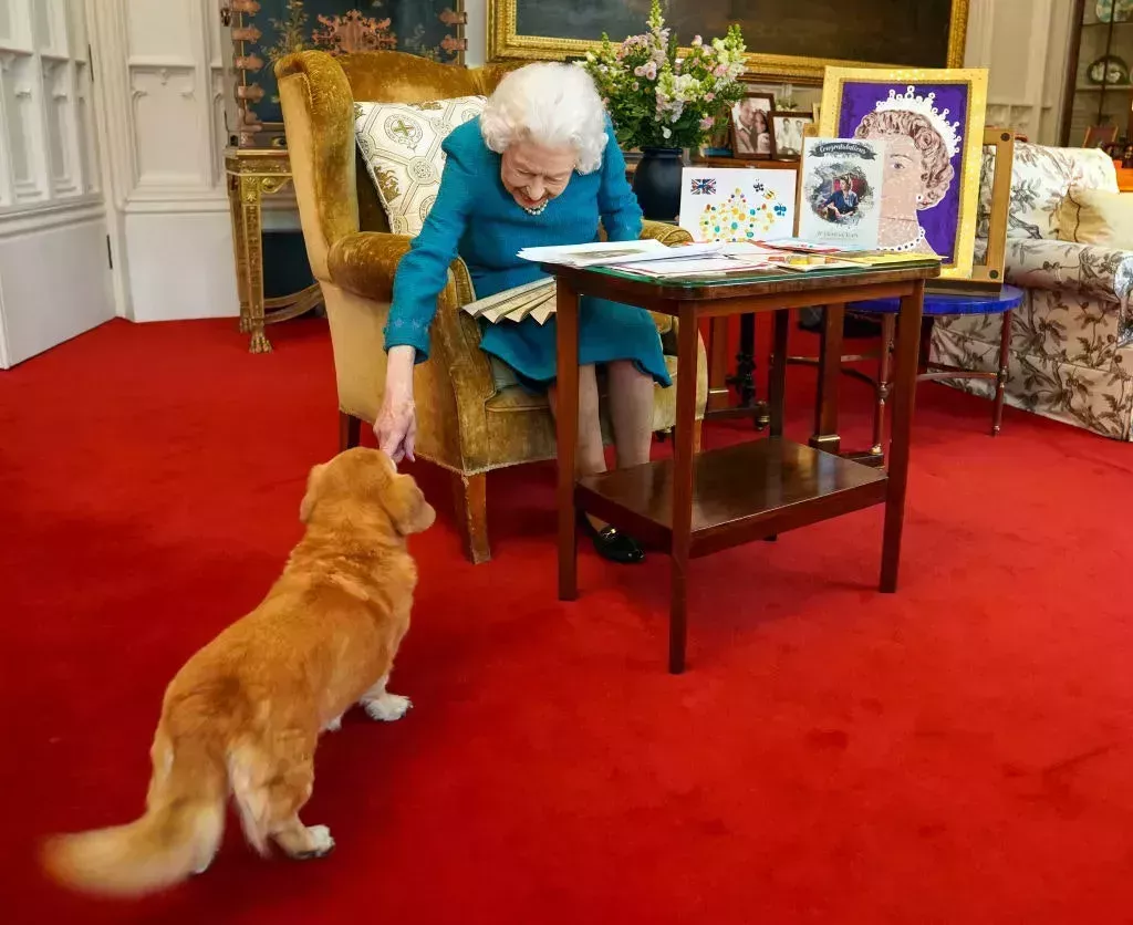 La reina Isabel II y sus mascotas reales