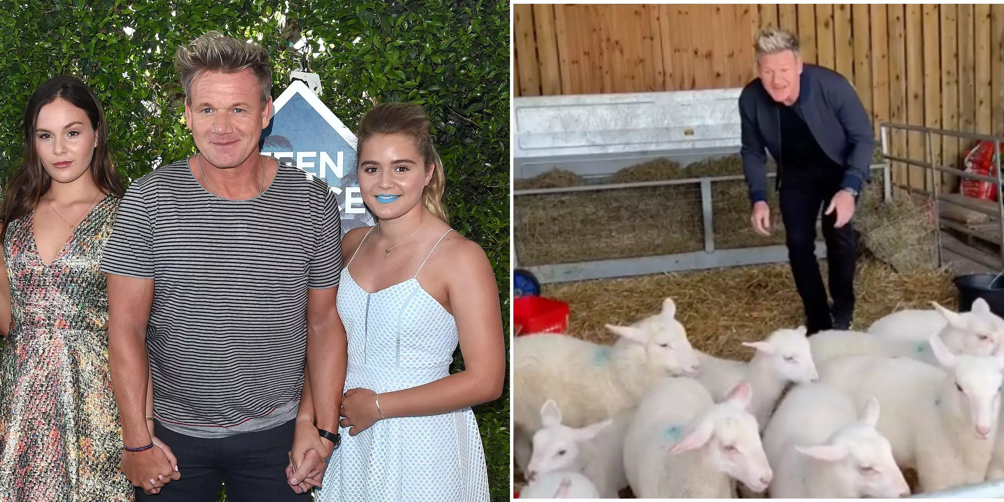 PETA dice que los hijos de Gordon Ramsay deberían hacerse veganos y 