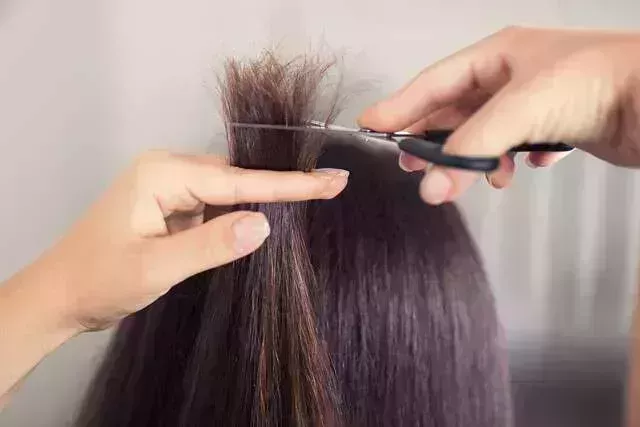 Esta es una guía sobre cómo proteger tu cabello