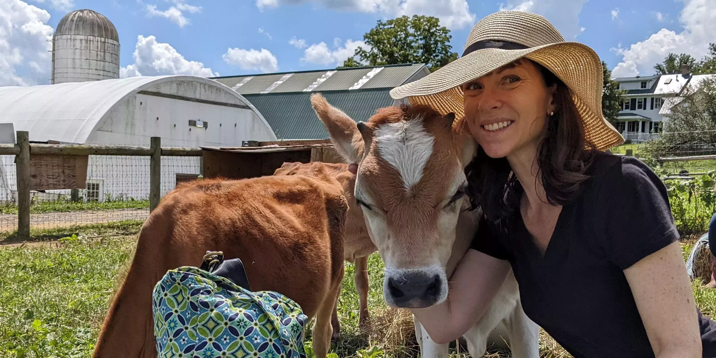 He pagado 150 dólares para abrazar a las vacas. Esperaba que fuera como los carretes de Instagram, pero fue totalmente decepcionante.