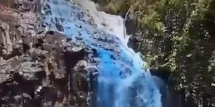 Una pareja de Brasil tiñó de azul una cascada para su fiesta de revelación de sexo.