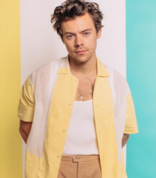 Trajes de otoño inspirados en Harry Styles