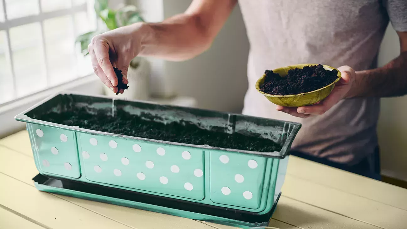 Cómo cultivar el mejor jardín interior que jamás haya visto