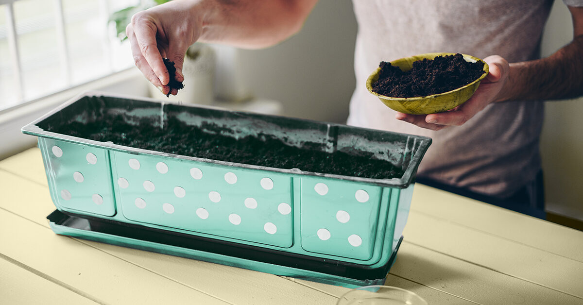 Cómo cultivar el mejor jardín interior que jamás haya visto