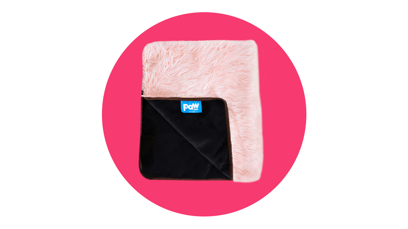 La lista de los amantes de Greatist: 29 artículos sin los que los editores no pueden vivir