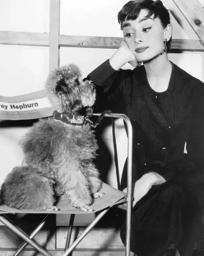 La guía definitiva para vestir como Audrey Hepburn