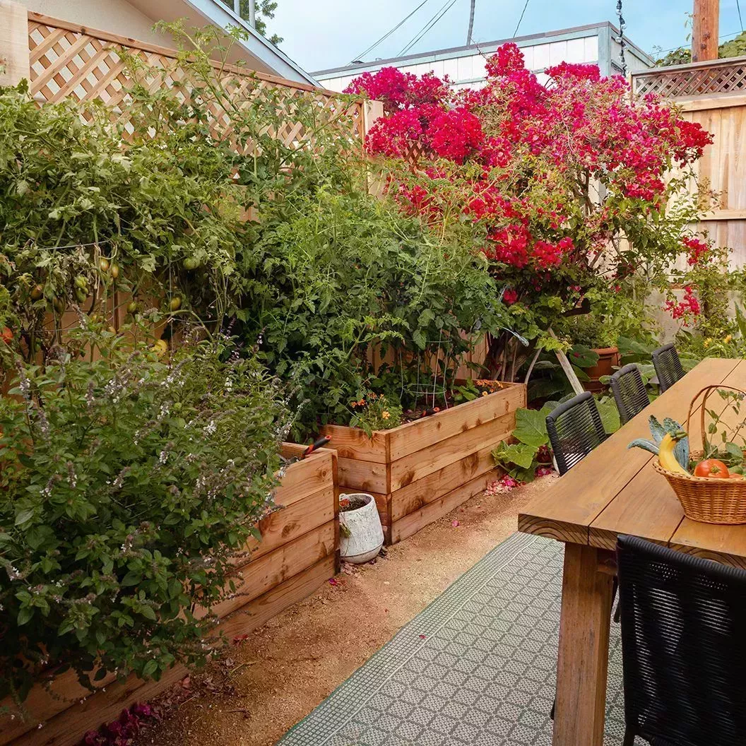 raised garden bed ideas