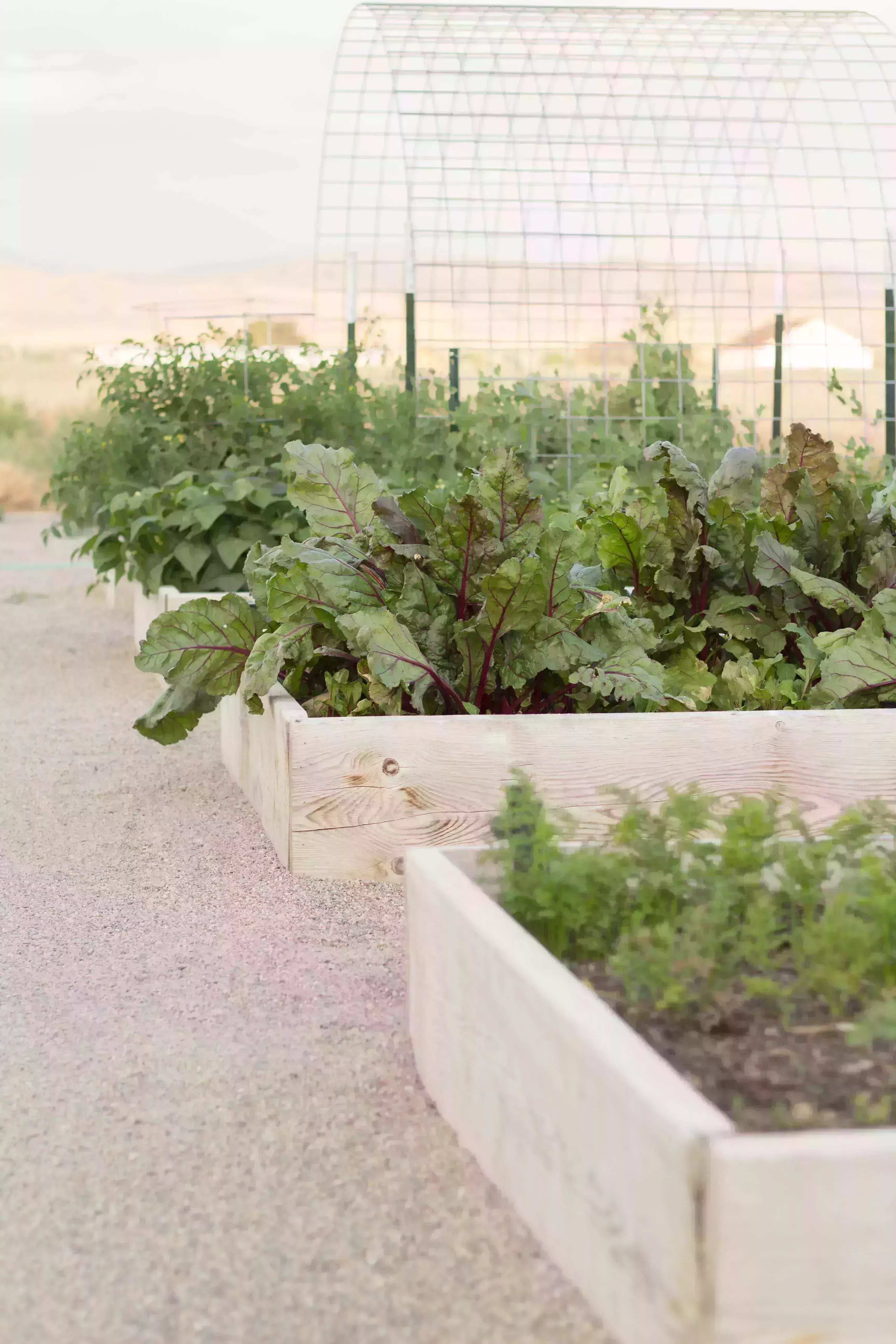 diy raised garden bed