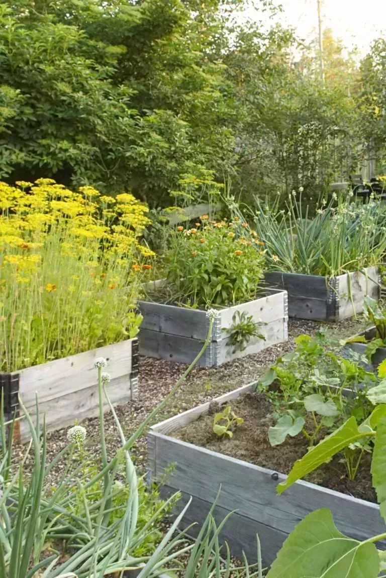 Puedes hacer tú mismo estas ideas baratas de camas elevadas para jardín