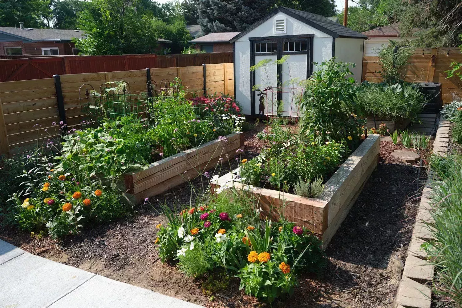 raised garden bed