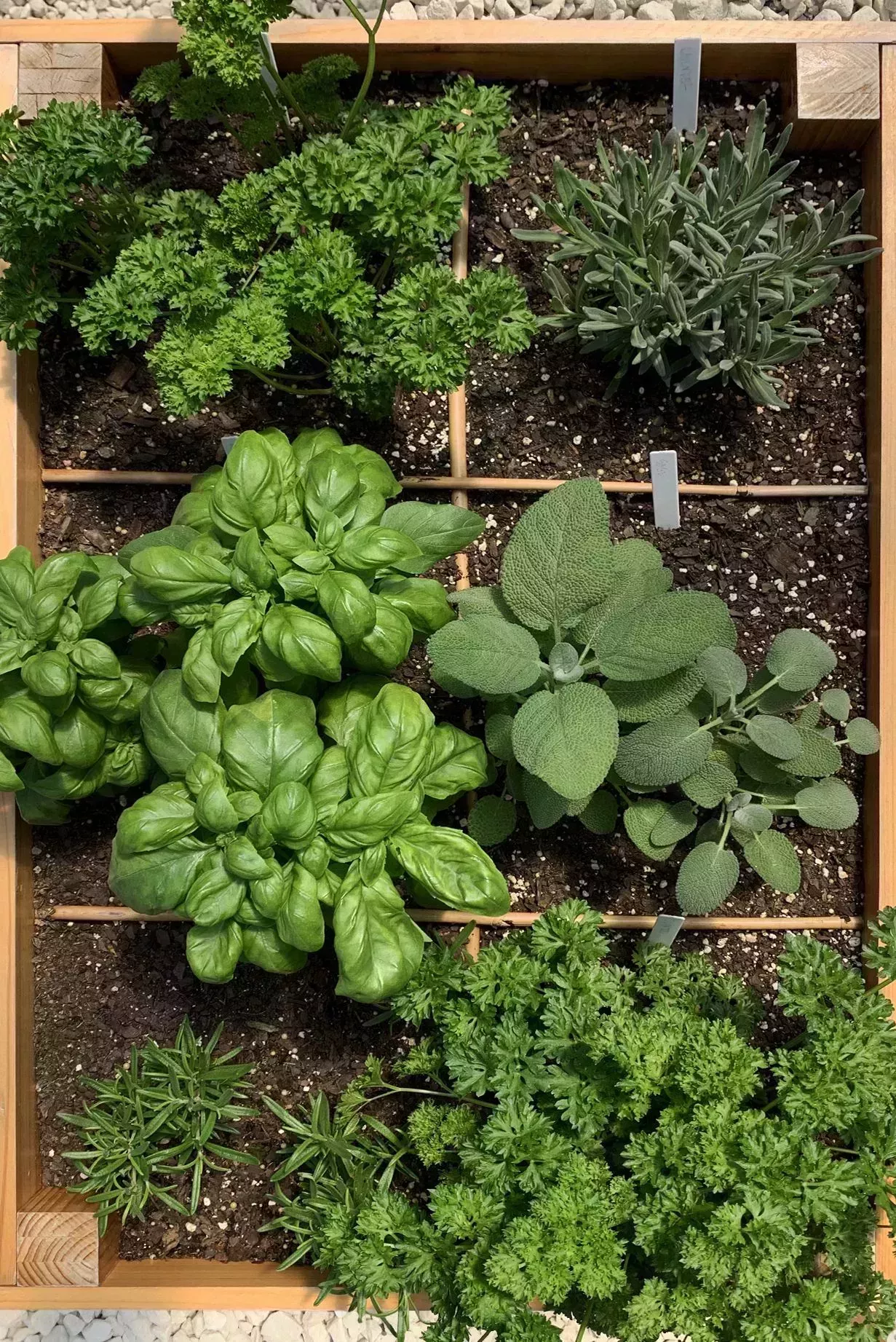 Puedes hacer tú mismo estas ideas baratas de camas elevadas para jardín