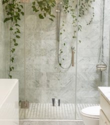 Date un capricho con una ducha especial