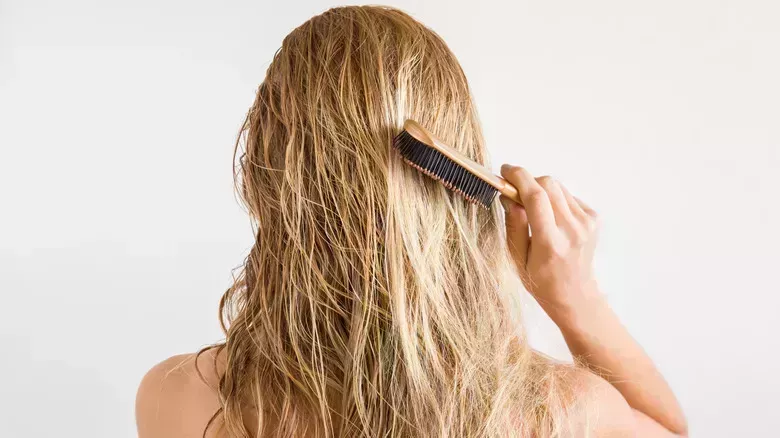 Deberías replantearte cepillarte el pelo cuando está seco. Por qué