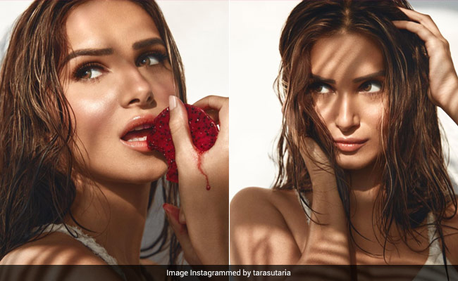 El maquillaje de Tara Sutaria nos deslumbra con su iluminador